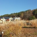 소백산자연휴양림 이미지