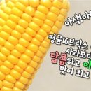 초당농산 영농조합법인