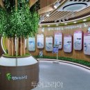 평화종합사회복지관(1) 이미지