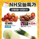 농협하나로마트 네이버블로그