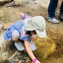 난향동-8 이미지