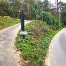 하룻밤 궁궐터 이미지