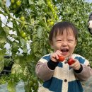 모현농장 이미지