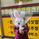 경희대 석사 바른태권도 이미지