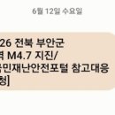 호두 펫푸드 이미지