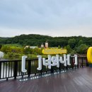 주정차단속-107 이미지