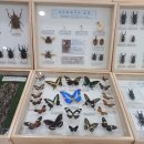 케이탑태권도 이미지