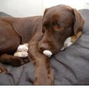 몽몽이# 이미지