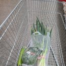 테크노순환로4길 이미지