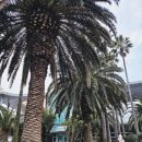 서광교회 | 제주여행 데이트코스 추천 | 감성술집 전포여관 제주시청점