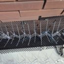 비둘기미용실 이미지