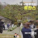 정릉11 | 서울 야외 결혼식 정릉 르한스 (LEHANS) 웨딩 11월 하객 후기