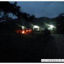 행복한사슴농장 이미지