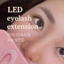 11215-자양2-172 | 건대 브이스튜디오 건대본점 LED연장 속눈썹 영양펌 솔직 후기