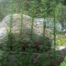 부광농장 이미지