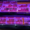 한우가8800 이미지