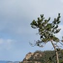 등대길 민박 이미지