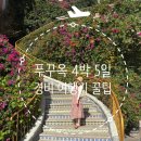푸꾸옥 4박 5일 여행 경비 / 일정 / 여행기 - 2