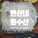연신내 회 수산 | 믿고가는 은평구 연신내 횟집 연신내회수산 후기 내돈내산