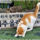 올래펜션민박 이미지