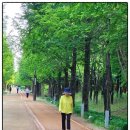 송내지 | 우주와의 접속 맨발걷기 좋은 장소 추천, 어싱 솔루션, 성인병 예방 등 혈액순환 위하여 맨발걷기 함께...
