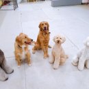 다솜유치원  (추가) 이미지