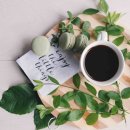 92커피 - 수성구 지범로13길 5 | 92커피