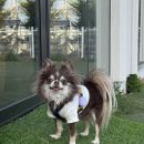 몽드드뚜뚜 이미지