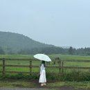 성이시돌요양원 | 제주 서쪽 한림 가볼만한곳 성이시돌목장 우유부단 카페 후기❤️