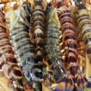 회무로맛집