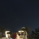버드글램핑 이미지