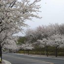 한전사택 이미지