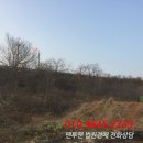 북문대로242번길 이미지