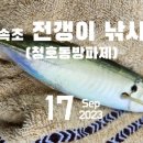 청호동 방파제 이미지