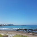 제주8월14일