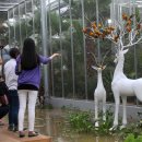 경주버드파크 이미지