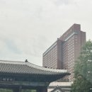 호텔, Executive Business Deluxe Rewards Memorable Moment 비즈니스 디럭스 더블 내돈내산 호캉스 후기