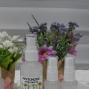 천연편백수액 집에 뿌려주세요~~ 이미지