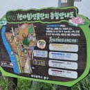 연꽃단지 이미지