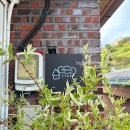 스테이 파랑 이미지