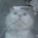 지에스25 검단어울림 네이버블로그