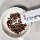 채움 | 숨채움 후기, 기관지 예민한 사람의 실제 후기와 효과, 성분, 부작용 총정리