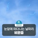 아이블레스안경 이미지