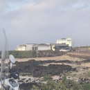 안녕프로젝트 게스트하우스 | 하우스 추천 ] 세화 바다의 푸른 바다와 따뜻한 환대가 흐르는 곳, 소심한 게스트하우스 방문후기 일기
