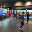 SY복싱클럽 이미지