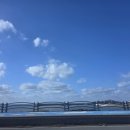 서해바다 | 군산 여행 먹거리 서해 섬 장자도 호떡마을 바다 뷰 카페 라파르 내돈내산 이용후기