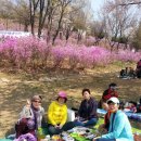 원미공원 이미지