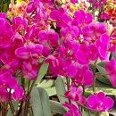 경화시장 이미지