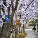 용산-106 이미지