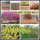 홍정농장 이미지